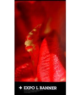 Expo Lbanner